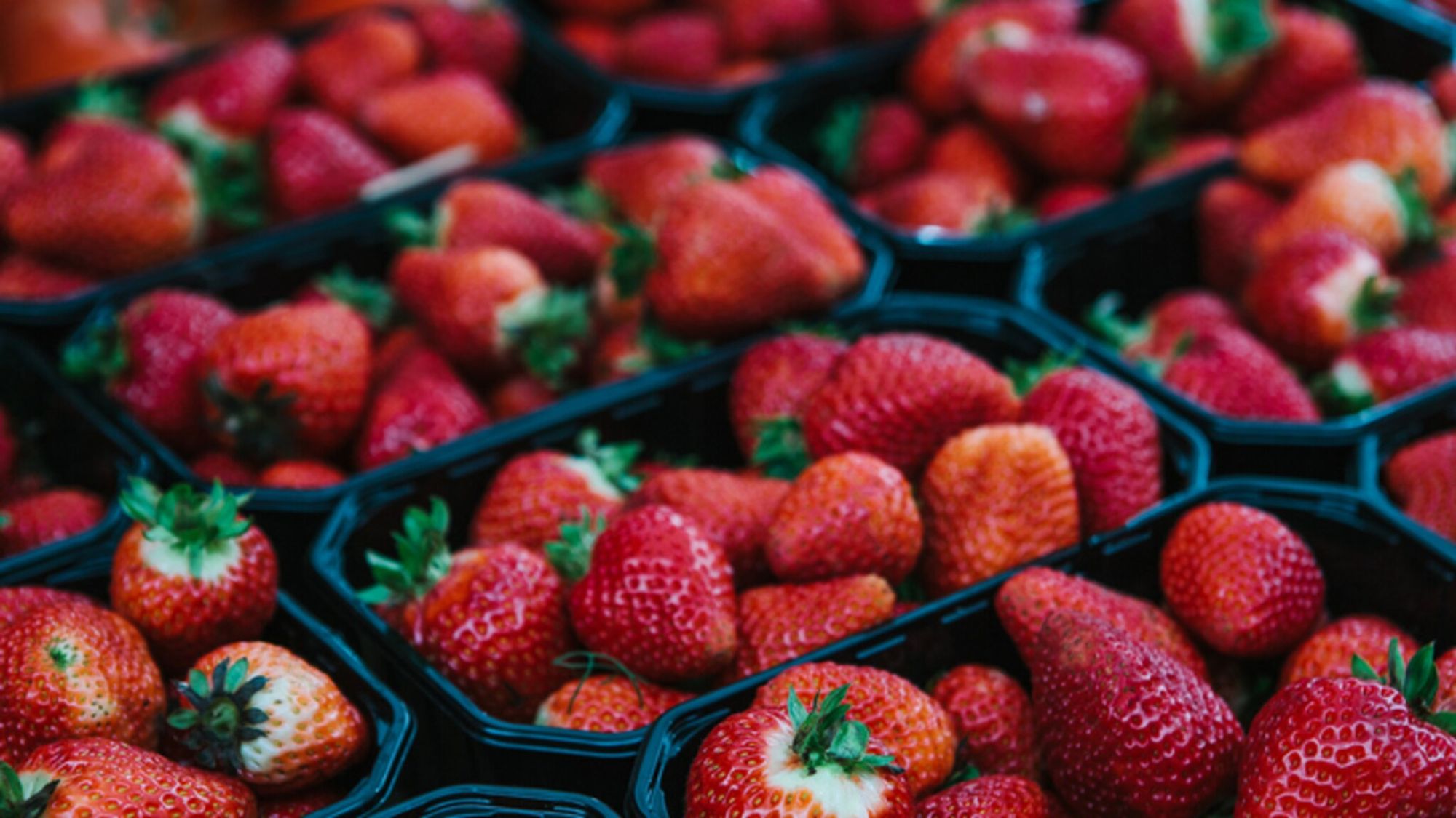 Aardbeienbakjes: bescherm uw fruit met de juiste bakjes